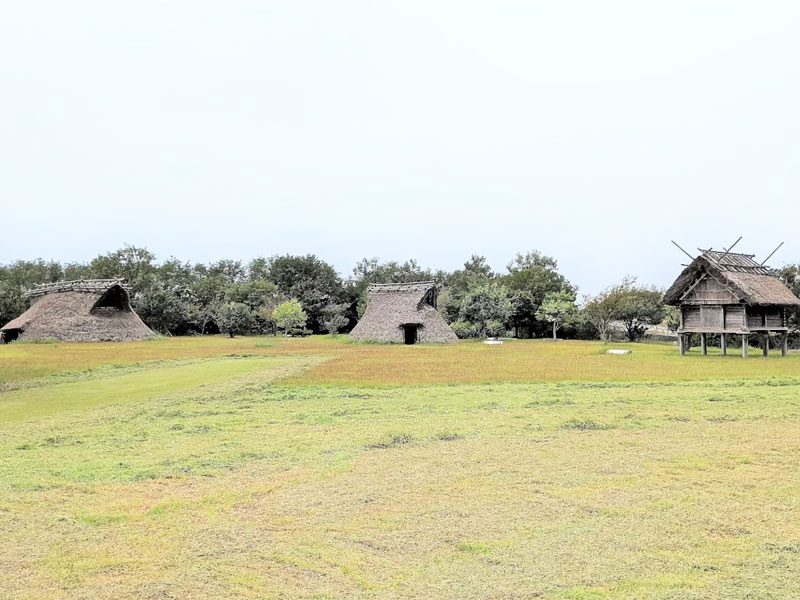 吉崎・次場弥生公園