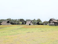 吉崎・次場弥生公園