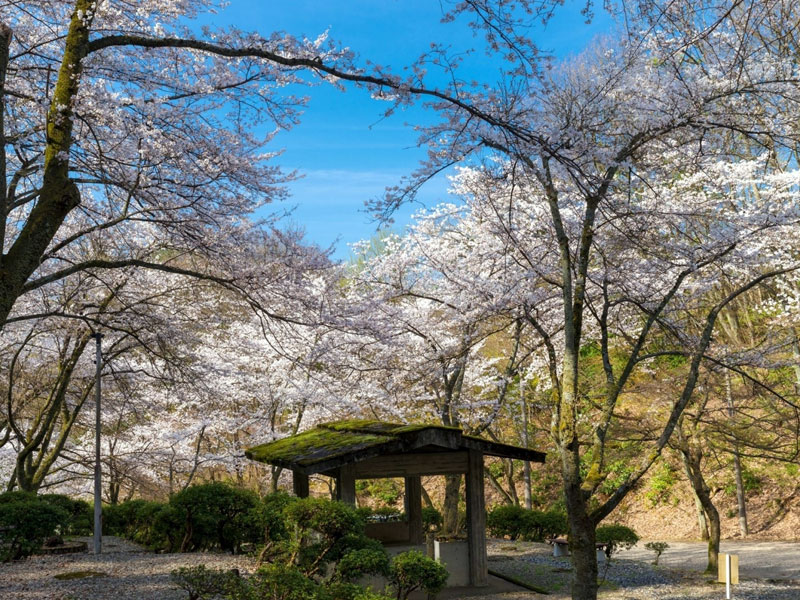 芦山公園