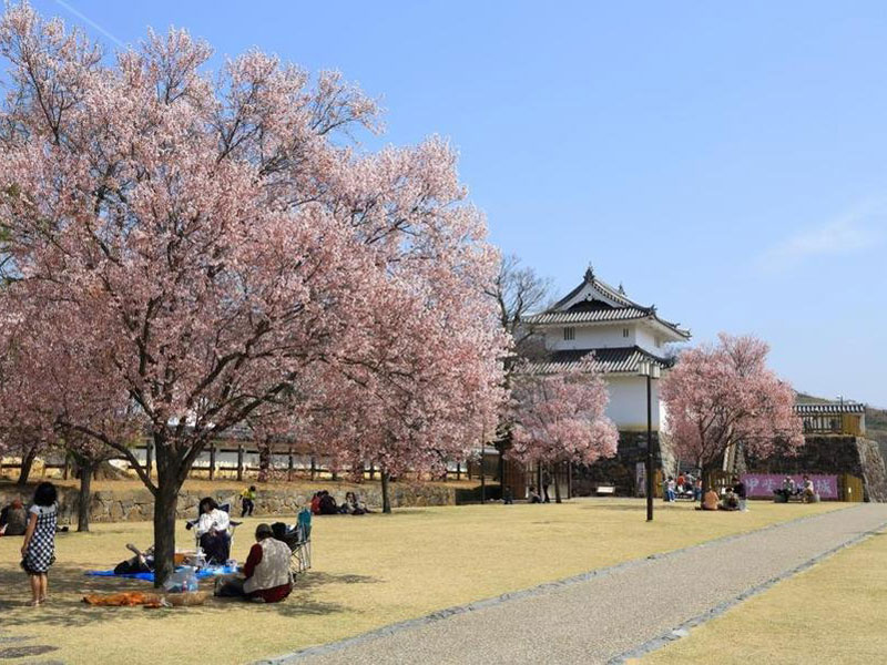 舞鶴城公園