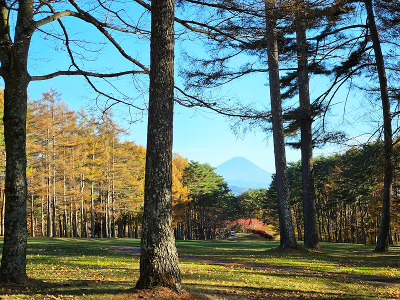 清里丘の公園