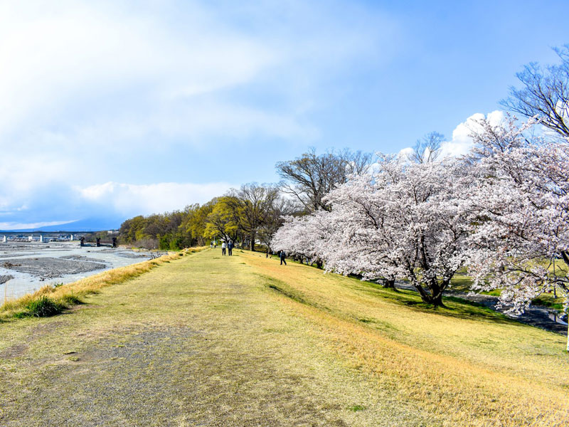 信玄堤公園