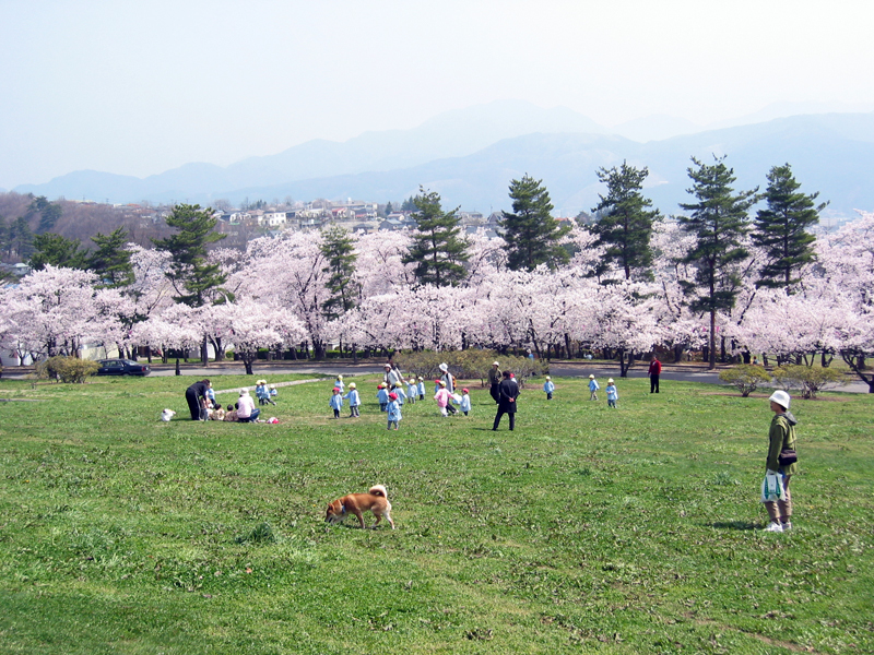 城山公園