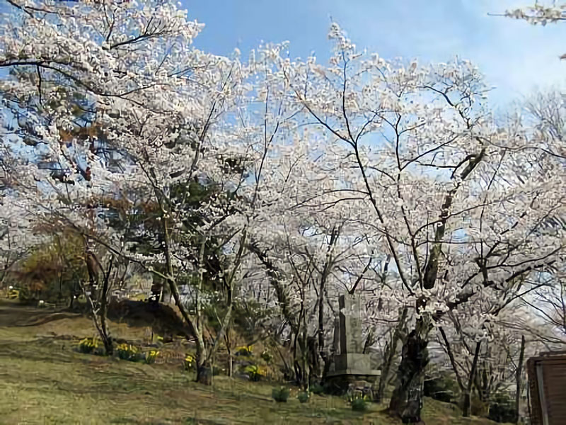 矢沢公園