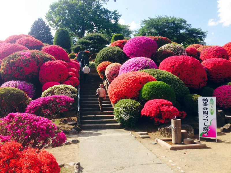 鶴峯公園