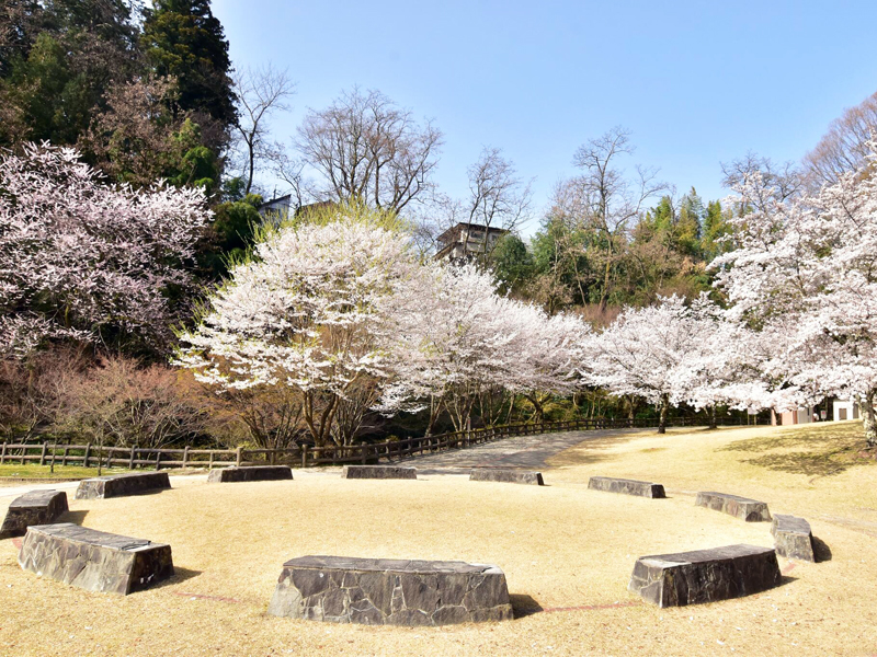 扇町公園