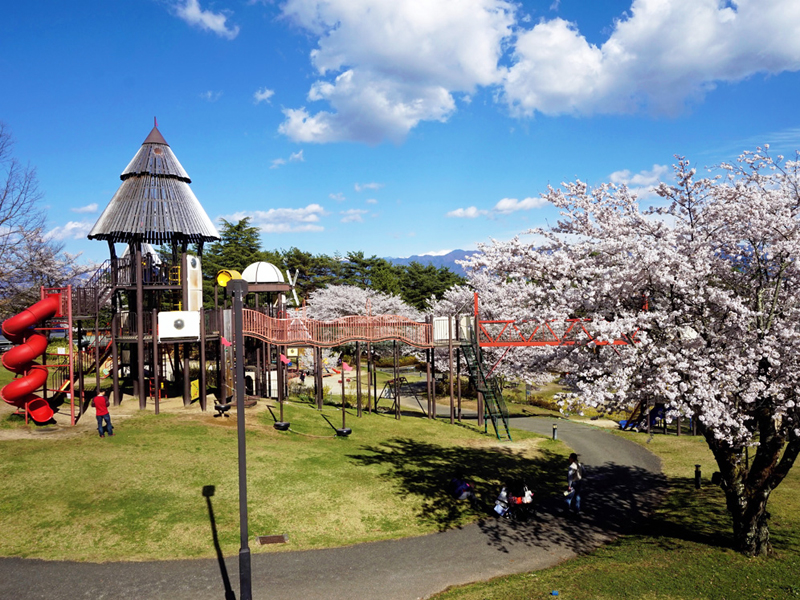 かざこし子どもの森公園