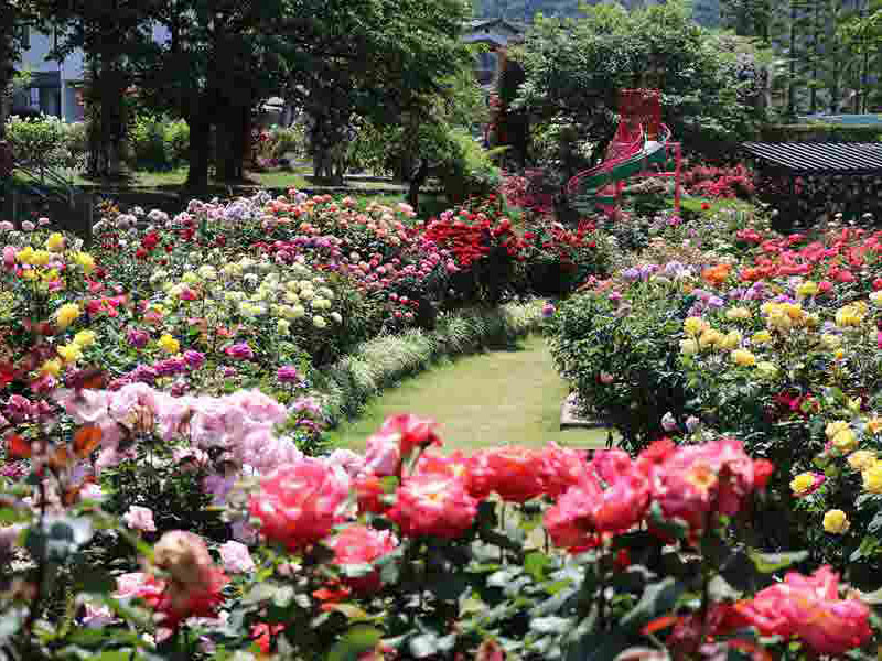 一本木公園