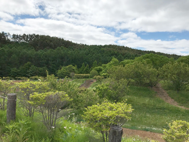 ふるさとの森公園