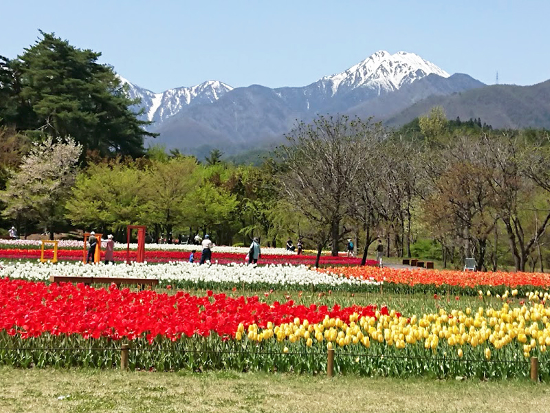 烏川渓谷緑地