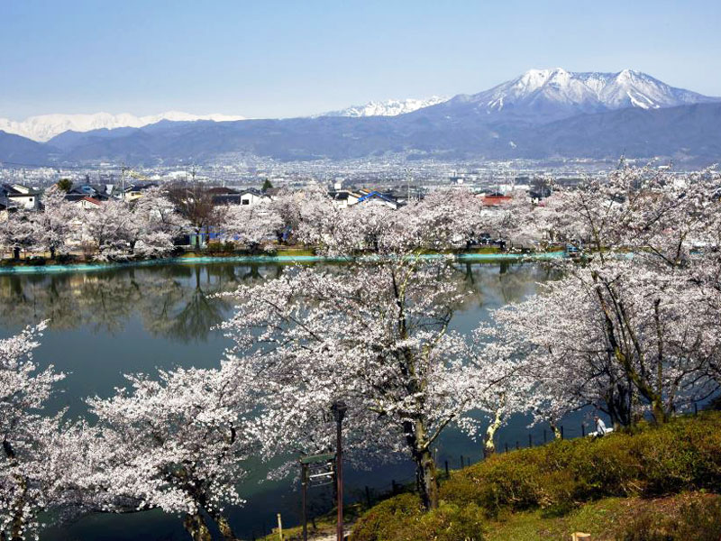 臥竜公園