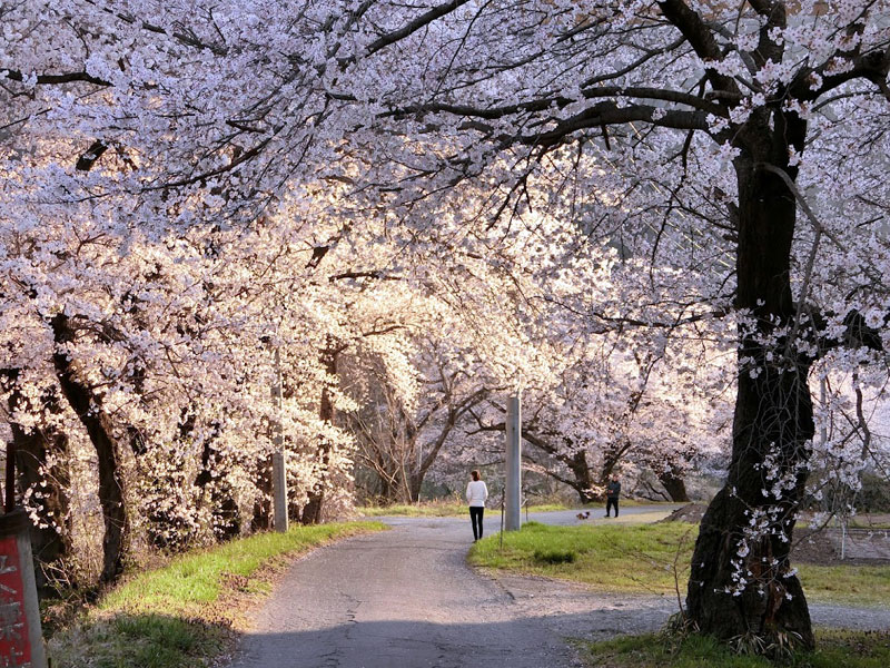 押出公園