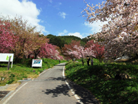 花の丘公園