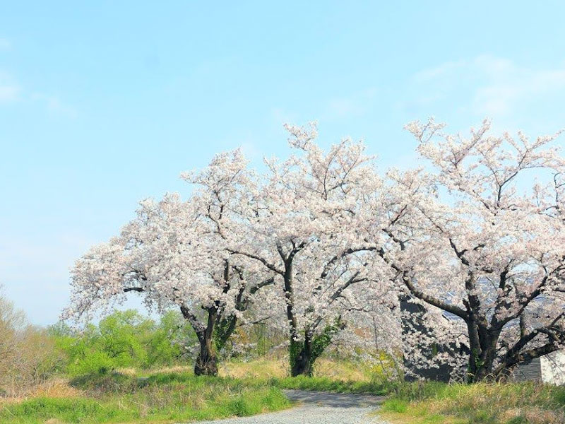 南一色公園