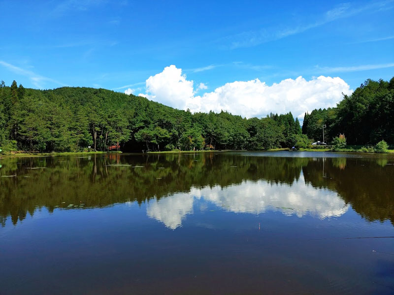 美女高原公園