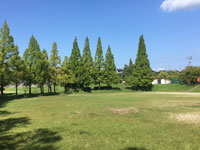 脇之島中央公園