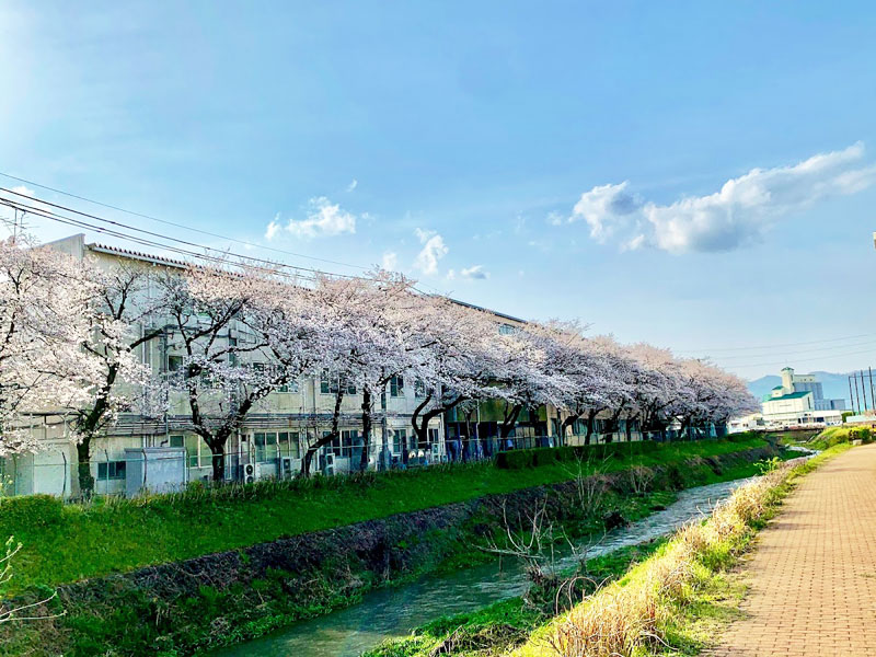 糸貫川河川公園