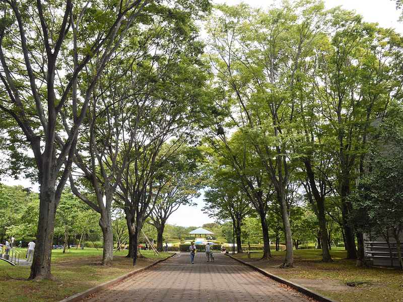 城北公園