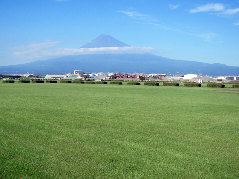 富士川緑地 