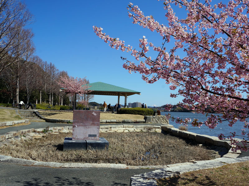 佐鳴湖公園