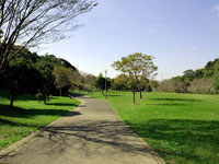 花川運動公園