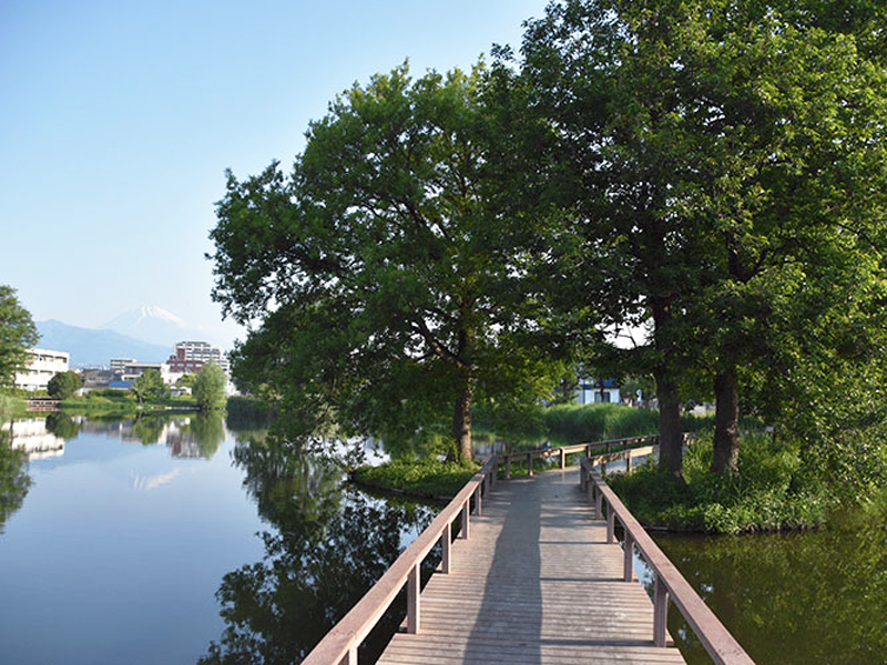 中郷温水池公園