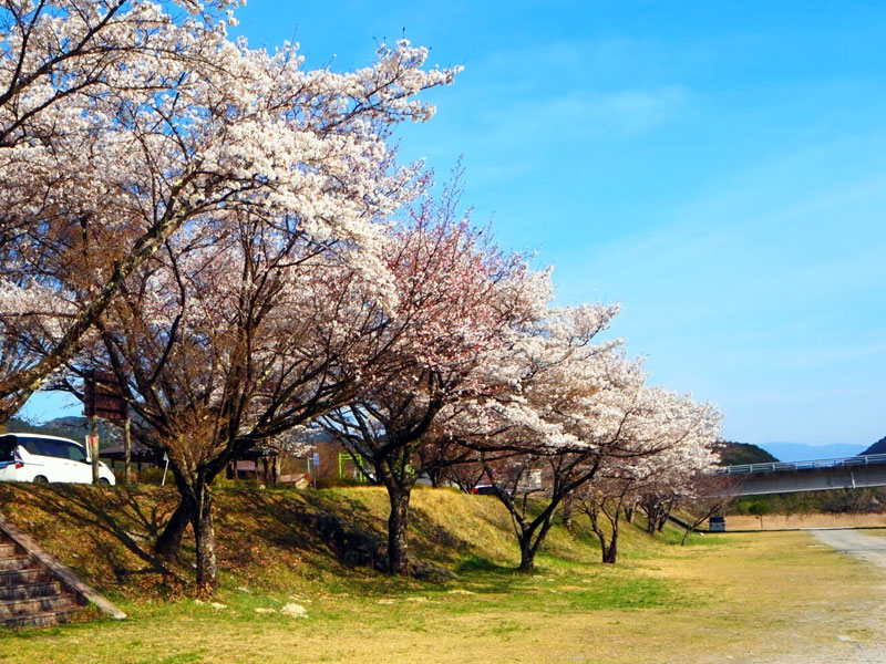 裏木曽街道公園