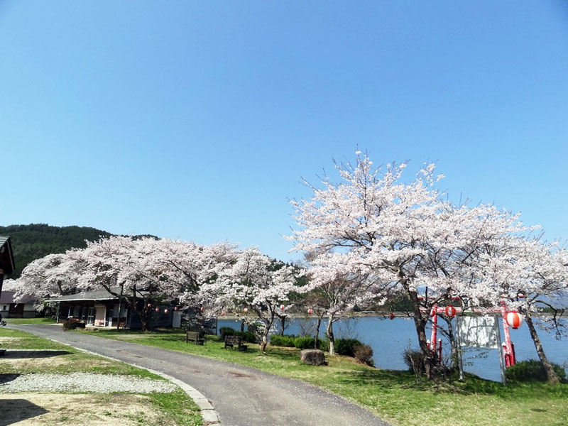 椛の湖自然公園