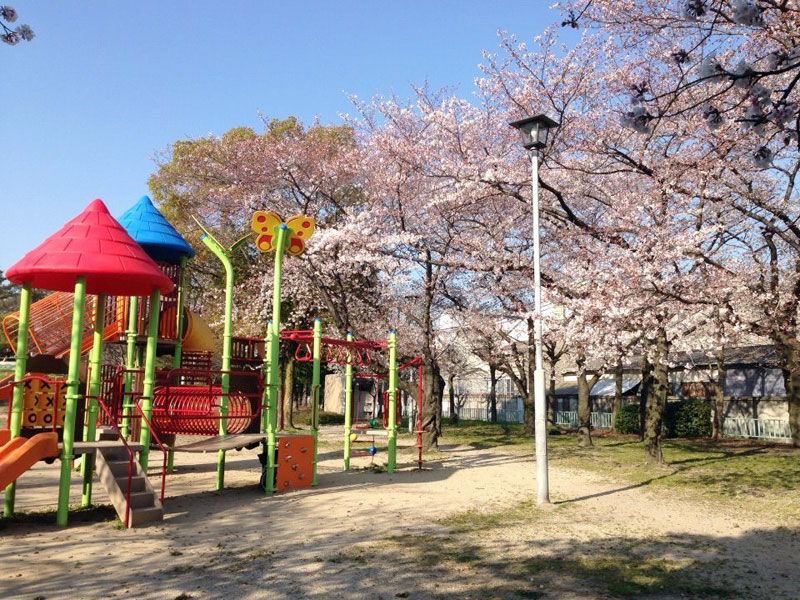 木ケ崎公園