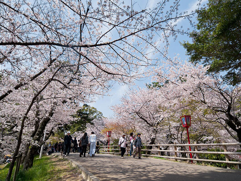 岡崎公園