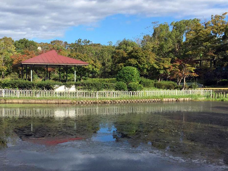 新池公園