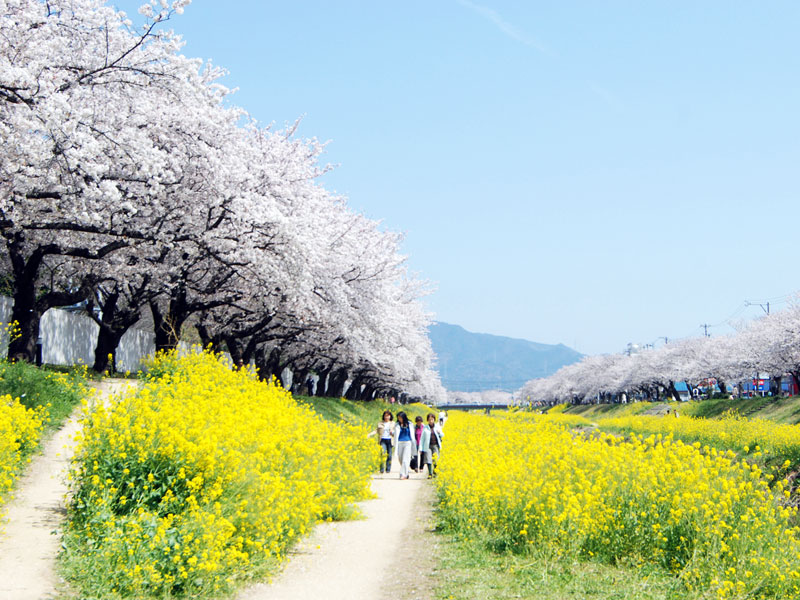 佐奈川散策公園