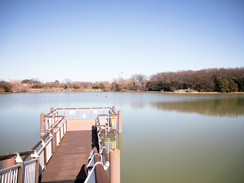 二ツ池公園