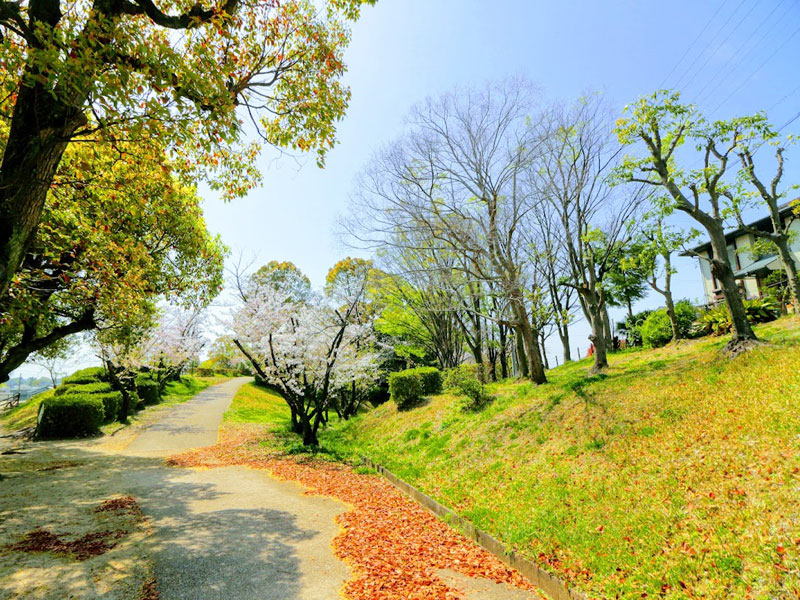 つつじが丘公園