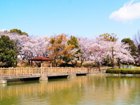 三崎水辺公園