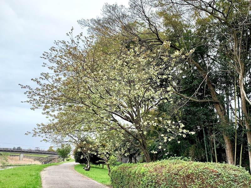 庄司庵公園