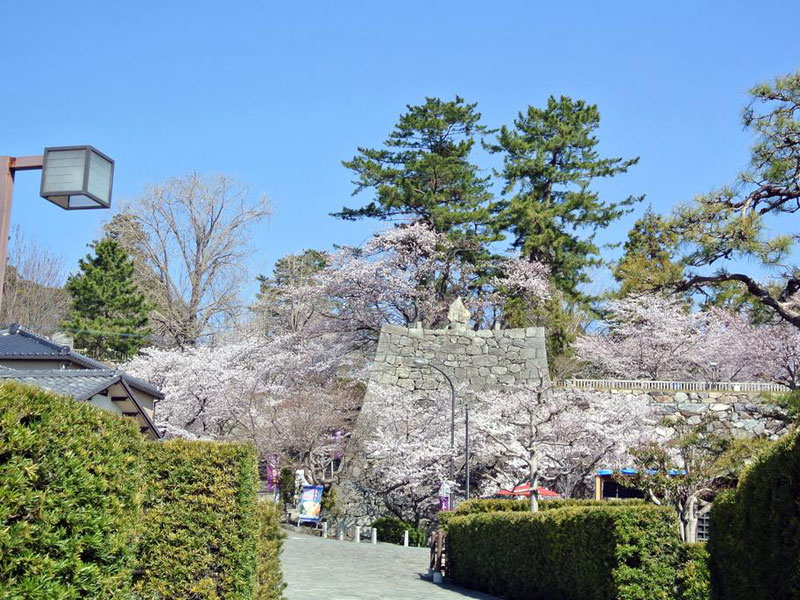 松阪公園