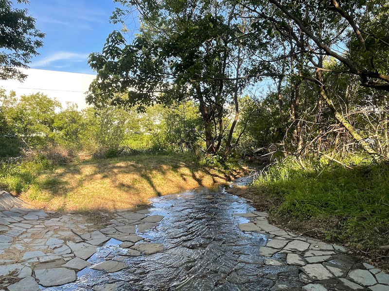 水辺公園