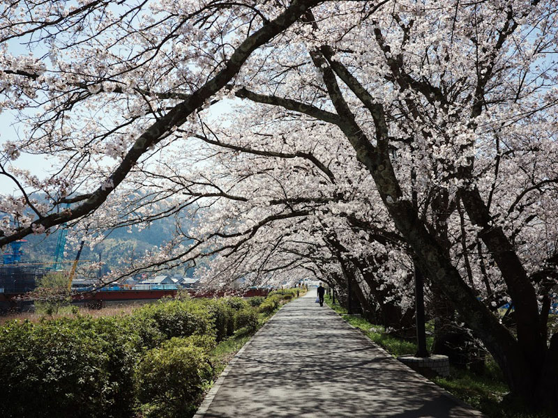 伊佐津川運動公園