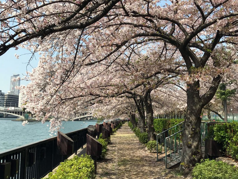 南天満公園