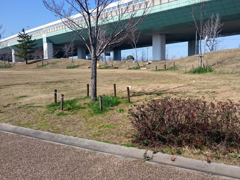 りんくう北公園