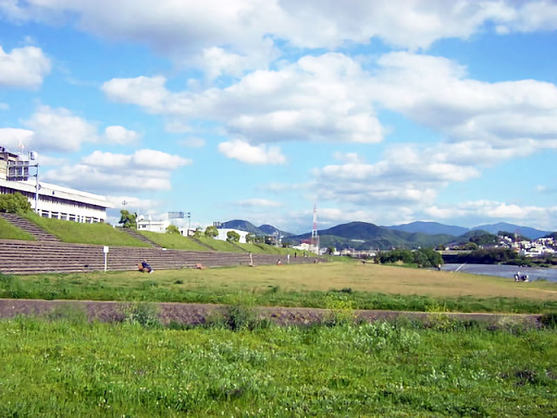 大和川河川敷緑地公園