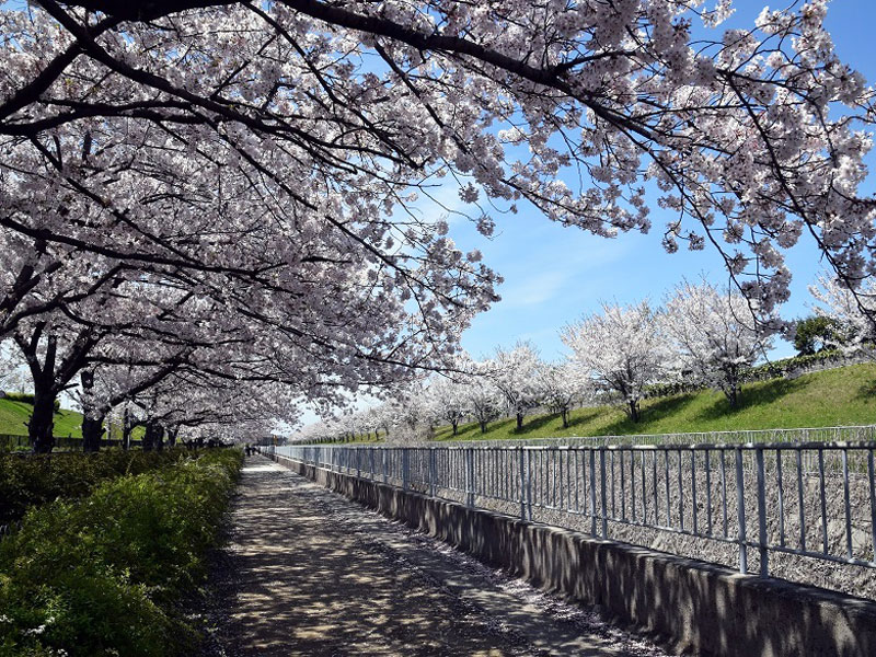 大水川散策公園