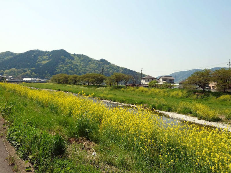 宮置緑地