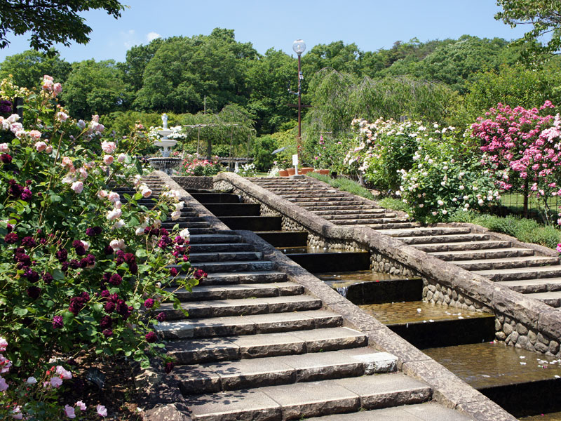 北山公園