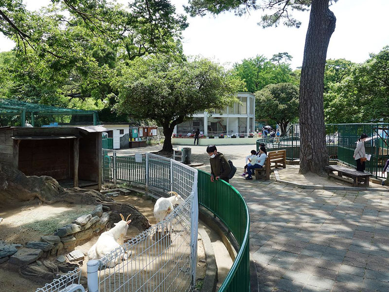 和歌山城公園