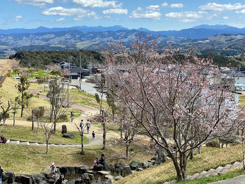 あやの台中央公園