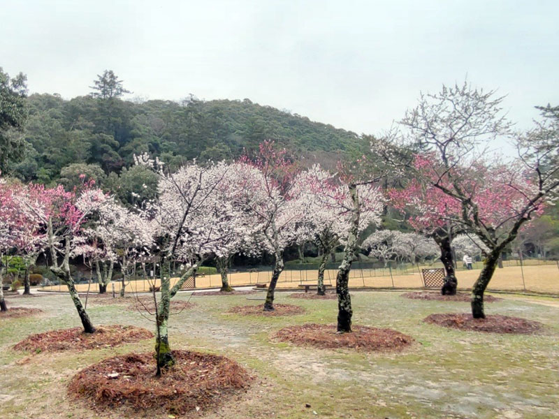 樗谿公園