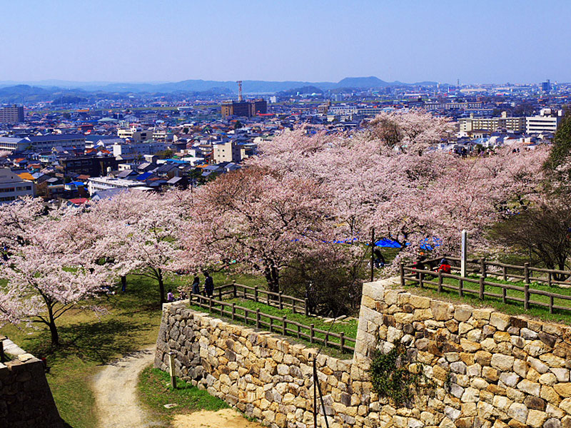 久松公園