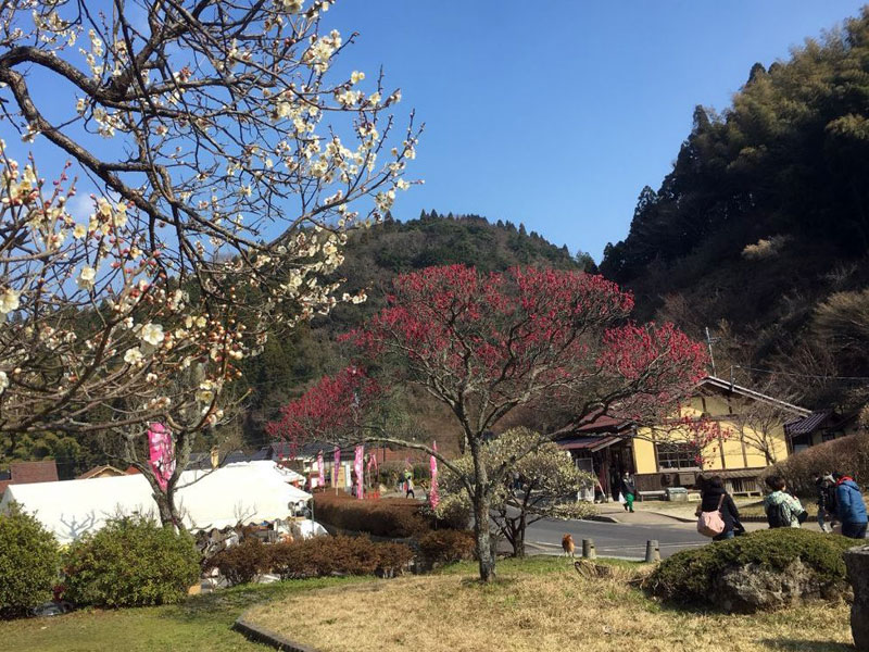 石見銀山公園